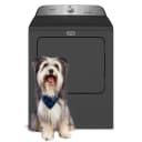 Pet Pro Top Load Electric Dryer - 7.0 cu. ft. view 1