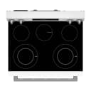 30-Inch Wide Electric Range With Steam Clean - 5.3 cu. ft. view 4