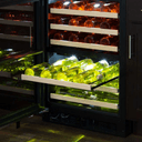 24-In Built-In High-Efficiency Dual Zone Wine Refrigerator view 3