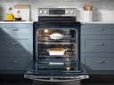 5.9 cu. ft. Freestanding Electric Range with Flex Duo & Dual Door view 8
