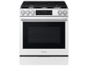 Pro Style Design | Air Fry Max | True Convection view 1