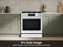 Pro Style Design | Air Fry Max | True Convection view 5