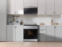Bespoke Slide-in Induction Range view 12
