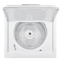 3.8 cu. ft. Large Capacity Top Load Washer with High-Efficiency Agitator view 31