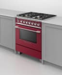 Dual Fuel Range, 30", 4 Burners, Self-cleaning view 6