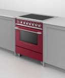 Induction Range, 30", 4 Zones, Self-cleaning view 6