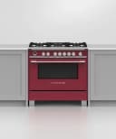 Dual Fuel Range, 36", 5 Burners, Self-cleaning view 4