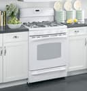 30" Free-Standing Dual-Fuel Range view 1