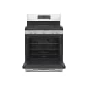 30" Free-Standing Self Clean Dual-Fuel Fingerprint Resistant Range with Storage Drawer view 29