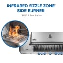 Prestige® 665 RSIB with Infrared Side and Rear Burner view 9