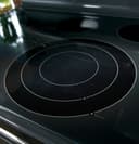Series 30" Free-Standing Double Oven Range with Convection view 18