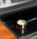Series 30" Free-Standing Double Oven Range with Convection view 4