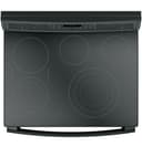 Series 30" Free-Standing Electric Double Oven Convection Range view 4