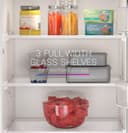 10.0 cu. ft. 12V DC Bottom Freezer Refrigerator view 9