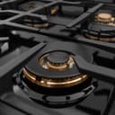 ZLINE 48 in. Classic Gas Rangetop with 8 Burner DuoPro™ Cooktop in Satin Stainless Steel (PCRTS-48) view 4