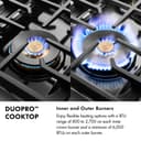 ZLINE Autograph Edition 36 in. Classic Gas Rangetop with 6 Burner DuoPro™ Cooktop in Stainless Steel and Polished Gold Accents (PCRTZ-36-G) view 11
