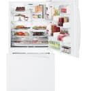 21.1 Cu. Ft. Refrigerator view 1