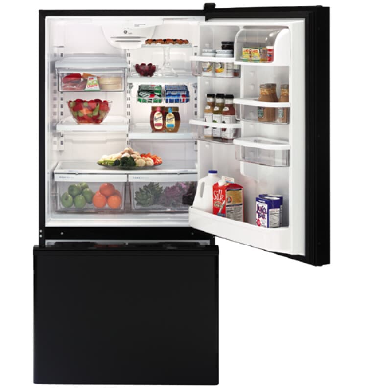 Bottom-Freezer Refrigerator