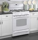 30" Free-Standing Self Clean Gas Range with Warming Drawer view 1
