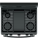 Series 30" Free-Standing Gas Convection Range view 11
