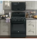 Series 30" Free-Standing Gas Convection Range view 4