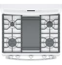 Series 30" Free-Standing Gas Convection Range view 22
