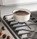 Series 30" Free-Standing Gas Convection Range view 2