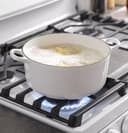 Series 30" Free-Standing Gas Convection Range view 10