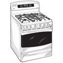 30" Free-Standing Self Clean Gas Range view 7