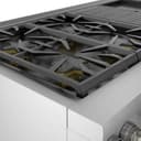 Dual Fuel Professional Range view 9