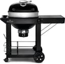 Professional 22 Charcoal view 3