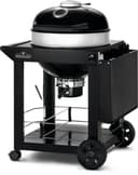 Professional 22 Charcoal view 5