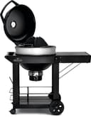 Professional 22 Charcoal view 6