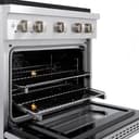 ZLINE 30 in. 4.2 cu. ft. Paramount Dual Fuel Range with 4 Burner DuoPro™ Cooktop and Electric Convection Oven in Stainless Steel (PSDR30) view 2