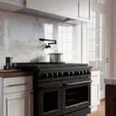 ZLINE 48 in. 6.7 cu. ft. Paramount Dual Fuel Range with 8 Burner DuoPro™ Cooktop and Dual Ovens in Black Stainless Steel (PSDRB-48) view 10