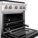 ZLINE 30 in. 4.2 cu. ft. Paramount Dual Fuel Range with 4 Burner DuoPro™ Cooktop and Electric Convection Oven with Black Matte Door (PSDR-BLM-30) view 17
