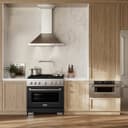 ZLINE 36 in. 5.2 cu. ft. Paramount Dual Fuel Range with 6 Burner DuoPro™ Cooktop and Electric Convection Oven with Black Matte Door (PSDR-BLM-36) view 20