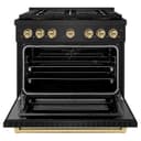 Autograph Edition 36 in. 5.2 cu. ft. Paramount Dual Fuel Range with 6 Burner DuoPro™ Cooktop and Electric Convection Oven view 17