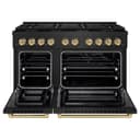 Autograph Edition 48 in. 6.7 cu. ft. Paramount Dual Fuel Range with 8 Burner DuoPro™ Cooktop and Dual Ovens view 17