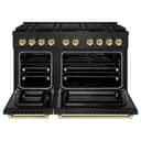 Autograph Edition 48 in. 6.7 cu. ft. Paramount Dual Fuel Range with 8 Burner DuoPro™ Cooktop and Dual Ovens view 17