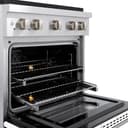 ZLINE 30 in. 4.2 cu. ft. Paramount Dual Fuel Range with 4 Burner DuoPro™ Cooktop and Electric Convection Oven with White Matte Door (PSDR-WM-30) view 15