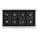 ZLINE Autograph Edition 48 in. 6.7 cu. ft. Paramount Dual Fuel Range with 8 Burner DuoPro™ Cooktop and Dual Ovens with Black Matte Doors and Polished Gold Accents (PSDRZ-BLM-48-G) view 10