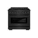36 in. 5.2 cu. ft. Paramount Gas Range with 6 Burner DuoPro™ Cooktop and Convection Gas Oven view 1