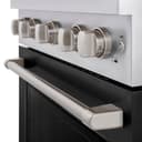 ZLINE 30 in. 4.2 cu. ft. Paramount Gas Range with 4 Burner DuoPro™ Cooktop and Convection Gas Oven with Black Matte Door (PSGR-BLM-30) view 14