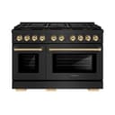 Autograph Edition 48 in. 6.7 cu. ft. Paramount Gas Range with 8 Burner DuoPro™ Cooktop and Dual Ovens view 1