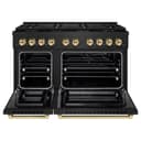 Autograph Edition 48 in. 6.7 cu. ft. Paramount Gas Range with 8 Burner DuoPro™ Cooktop and Dual Ovens view 16