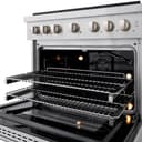 ZLINE 36 in. 5.2 cu. ft. Paramount Gas Range with 6 Burner DuoPro™ Cooktop and Convection Gas Oven in Satin Stainless Steel (PSGRS-36) view 17