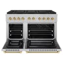 ZLINE Autograph Edition 48 in. 6.7 cu. ft. Paramount Gas Range with 8 Burner DuoPro™ Cooktop and Dual Ovens in Satin Stainless Steel and Polished Gold Accents (PSGRSZ-48-G) view 19