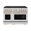Autograph Edition 48 in. 6.7 cu. ft. Paramount Gas Range with 8 Burner DuoPro™ Cooktop and Dual Ovens view 1