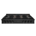 48 in. Paramount Gas Rangetop with 8 Burner DuoPro™ Cooktop view 1